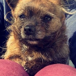 Meet your Posher, Julia